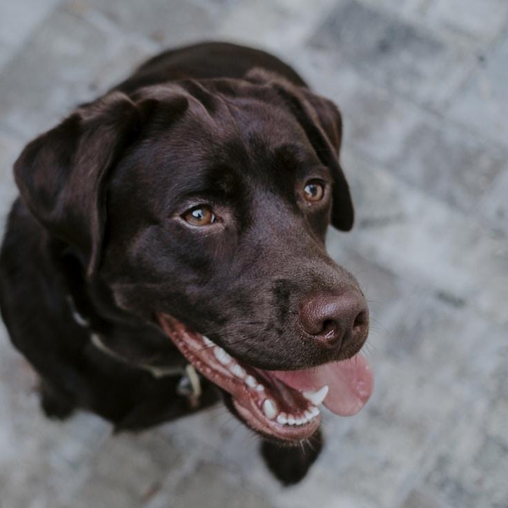 Elise Dupont - Founder of QuietIslandBay